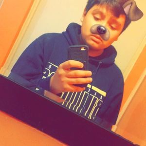 Meet your Posher, Oscar